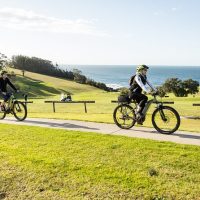 Bike Rentals