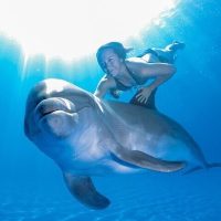 Sightseeing Tickets & Passes
