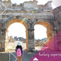Shore Excursions