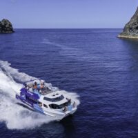 Full-day Tours