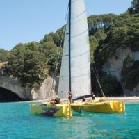 Catamaran Cruises