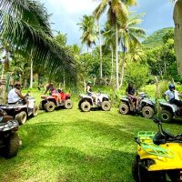 Half-day Tours