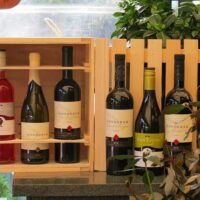 Wine Tasting & Winery Tours