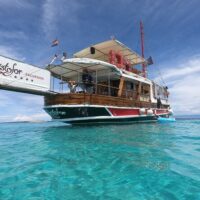 Boat Tours
