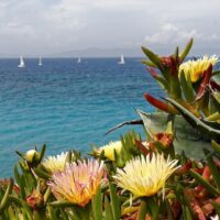 Multi-day Tours