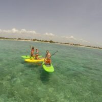Self-guided Tours & Rentals