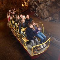 Day Trips & Excursions