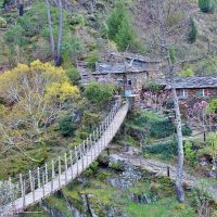 Full-day Tours
