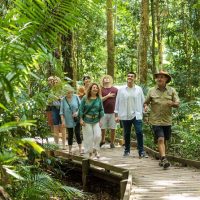 Overnight Tours
