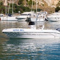 Boat Rentals