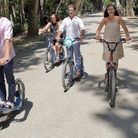 Vehicle Rentals
