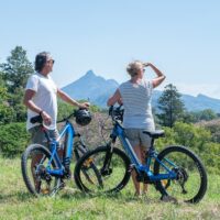 Bike Rentals