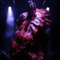 Light & Sound Shows