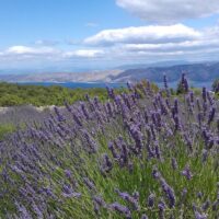 Walking & Biking Tours
