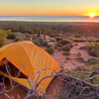 Bus & Minivan Tours