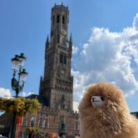 Classic Car Tours