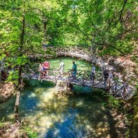 Walking Tours