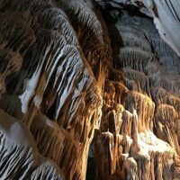 Day Trips & Excursions