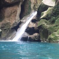 Bus & Minivan Tours