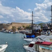 Half-day Tours