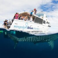 Luxury Tours