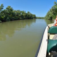 Eco Tours