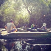Full-day Tours