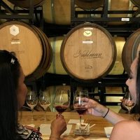 Wine Tasting & Winery Tours