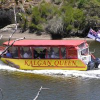Tours & Sightseeing