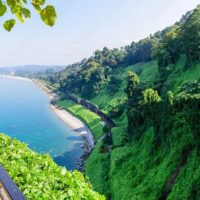 Private Sightseeing Tours