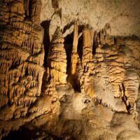 Cultural Tours