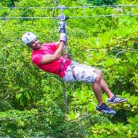 Holiday & Seasonal Tours