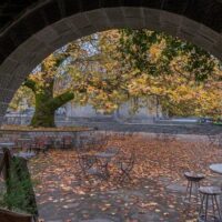 Multi-day & Extended Tours