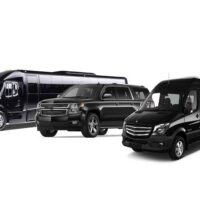 Bus Services