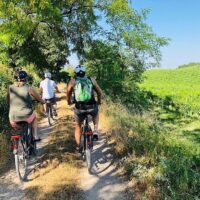 Self-guided Tours & Rentals