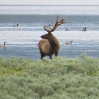 Multi-day Tours