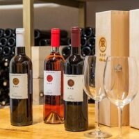 Wine Tasting & Winery Tours