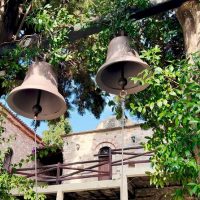Bus & Minivan Tours