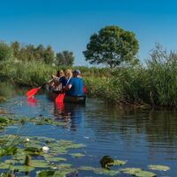 Kayaking & Canoeing