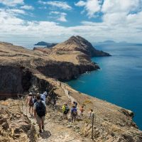 Half-day Tours