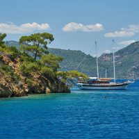 Day Cruises