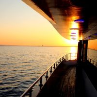 Day Cruises