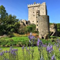 Full-day Tours