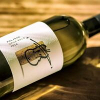 Wine Tasting & Winery Tours