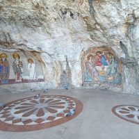 Half-day Tours
