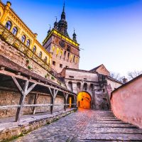 Private Sightseeing Tours