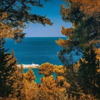 Cruises, Sailing & Water Tours