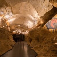 Half-day Tours