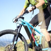 Bike Rentals