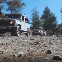 Safaris